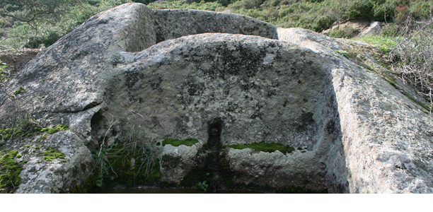 Palmenti dell'Isola del Giglio