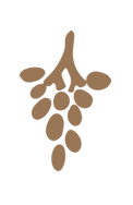 Vendemmia di Ansonica